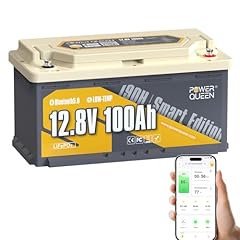 Power queen 12v gebraucht kaufen  Wird an jeden Ort in Deutschland