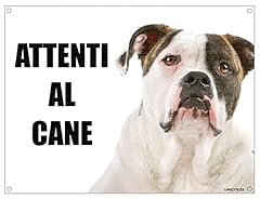 American bulldog attenti usato  Spedito ovunque in Italia 