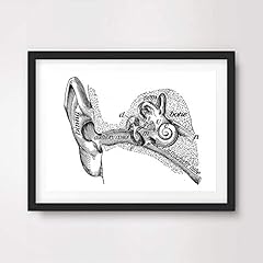 Ear hearing medical for sale  Delivered anywhere in UK