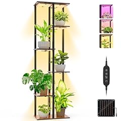 Bstrip indoor plant for sale  Delivered anywhere in USA 