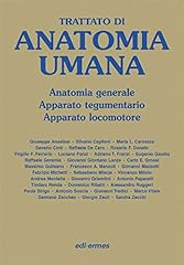Trattato anatomia umana. usato  Spedito ovunque in Italia 