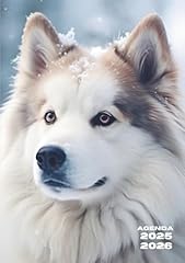 Agenda scolaire chien d'occasion  Livré partout en France