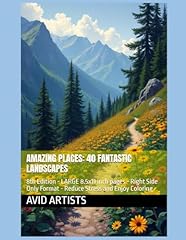 Amazing places fantastic d'occasion  Livré partout en France