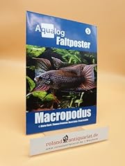 Bookazine faltposter paradiesf gebraucht kaufen  Wird an jeden Ort in Deutschland