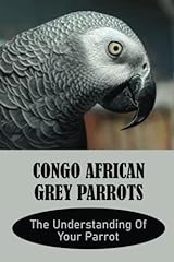 Congo african grey for sale  Delivered anywhere in USA 