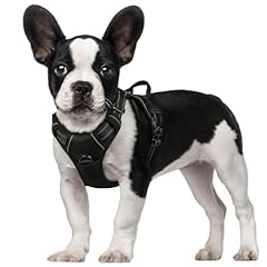 Rabbitgoo dog harness for sale  Delivered anywhere in UK