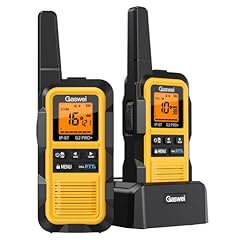 Gaswei g2pro professionelle gebraucht kaufen  Wird an jeden Ort in Deutschland
