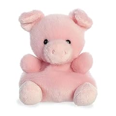 Aurora adorable palm for sale  Delivered anywhere in USA 