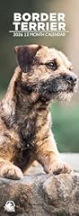 Border terrier 2026 for sale  Delivered anywhere in UK