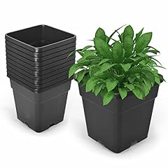 Waltyotur 10pcs gallon for sale  Delivered anywhere in USA 