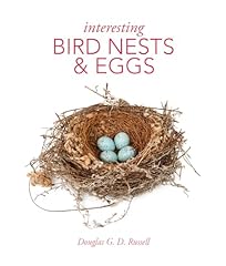 Interesting bird nests for sale  Delivered anywhere in Ireland