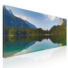 Quadro lago montagna usato  Spedito ovunque in Italia 