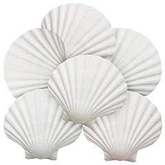 Gopiter 6pcs scallop for sale  Delivered anywhere in USA 