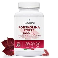 Bandini forskolina forte usato  Spedito ovunque in Italia 