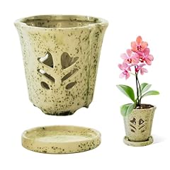 Orchid pot inch for sale  Delivered anywhere in USA 
