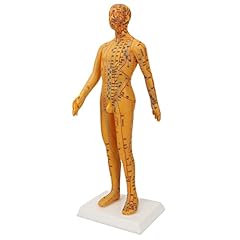 Modello del corpo usato  Spedito ovunque in Italia 
