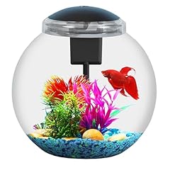 Products aquarium globe d'occasion  Livré partout en France