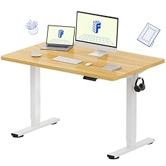 Flexispot en1 one for sale  Delivered anywhere in USA 