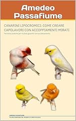 Canarini lipocromici come usato  Spedito ovunque in Italia 