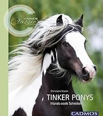 Tinker ponys irlands gebraucht kaufen  Wird an jeden Ort in Deutschland
