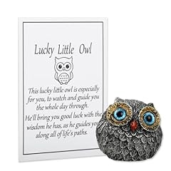 Wasise owl gifts for sale  Delivered anywhere in UK