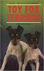 Toy fox terriers for sale  Delivered anywhere in UK