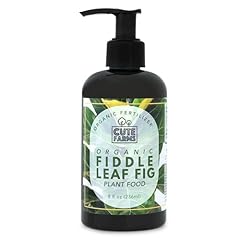 Organic fiddle leaf for sale  Delivered anywhere in USA 