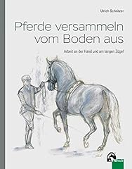 Pferde versammeln vom gebraucht kaufen  Wird an jeden Ort in Deutschland