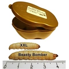 Bienenmaden beasty bomber gebraucht kaufen  Wird an jeden Ort in Deutschland