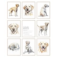 Bigwig prints labrador for sale  Delivered anywhere in USA 