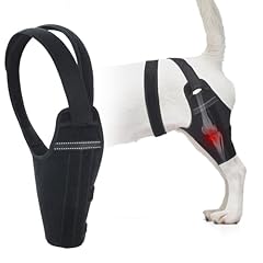 Gogopaw dog knee for sale  Delivered anywhere in USA 