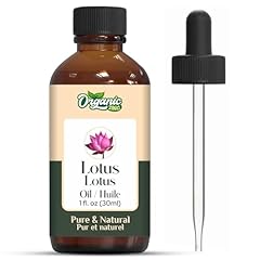 Organic zing lotus for sale  Delivered anywhere in UK