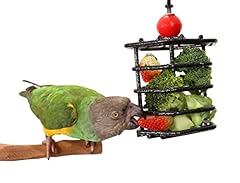 Parrot foraging cage for sale  Delivered anywhere in USA 