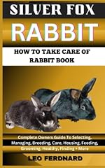 Silver fox rabbit. for sale  Delivered anywhere in USA 