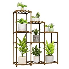 Bamworld tall plant for sale  Delivered anywhere in USA 