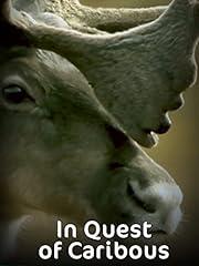 Quest caribous for sale  Delivered anywhere in USA 