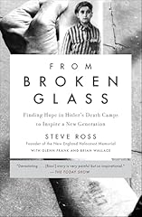 Broken glass story for sale  Delivered anywhere in USA 