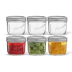 Joyjolt mason jars for sale  Delivered anywhere in USA 
