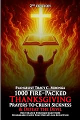 1000 fire packed usato  Spedito ovunque in Italia 