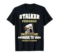 Bulldog americano cane usato  Spedito ovunque in Italia 