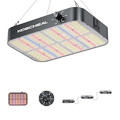 Koscheal kc800 led for sale  Delivered anywhere in UK