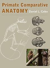 Primate comparative anatomy for sale  Delivered anywhere in Ireland