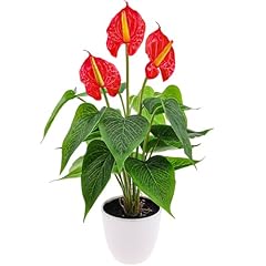 Folmywy artificial flower for sale  Delivered anywhere in USA 