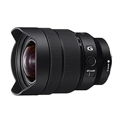 Sony sel 1224g usato  Spedito ovunque in Italia 
