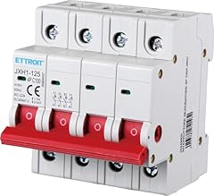 Ettroit interruttore isolament usato  Spedito ovunque in Italia 