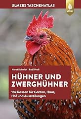 Hühner zwerghühner 182 gebraucht kaufen  Wird an jeden Ort in Deutschland