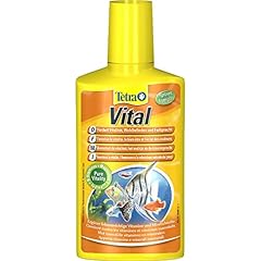 Tetra vital vitamine usato  Spedito ovunque in Italia 