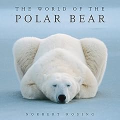 Polar bear for sale  Delivered anywhere in USA 