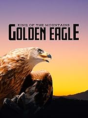 King mountains golden for sale  Delivered anywhere in UK