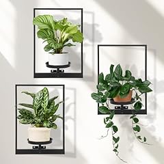 Storenization wall planters for sale  Delivered anywhere in USA 